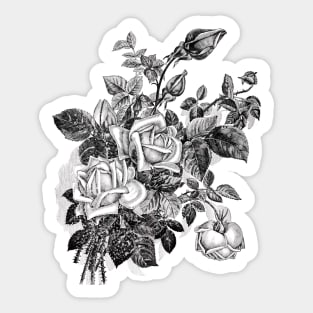 Black Rose Flowers Bouquet Sticker